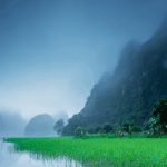 hu-thuc