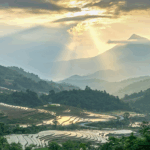 ngay-ve