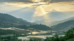 ngay-ve